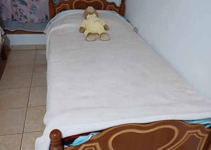 Karaj 公寓 地拉那